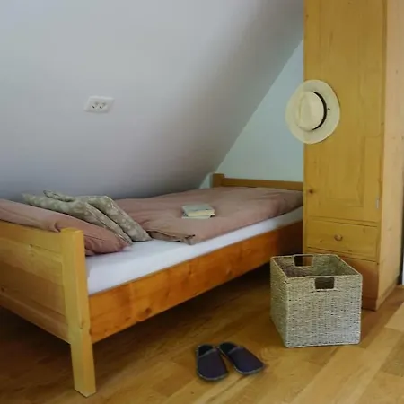Spacious & Cozy At Lake Bohinj